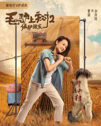 全集在线观看