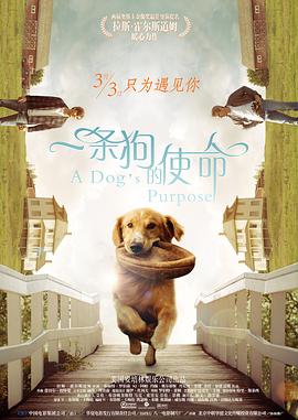 1080P未删减版在线观看