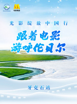 BD国语电影免费在线
