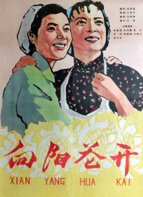 蓝光原盘